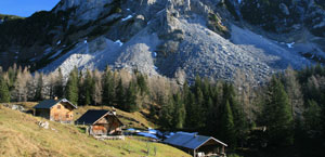 Hütte